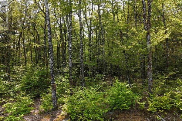 Lot 2 Nathan Croft Road, Camperdown Meadows, Camperdown, NS B4V6T9 Photo 3