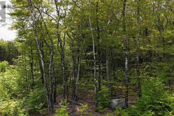 Lot 2 Nathan Croft Road, Camperdown Meadows, Camperdown, NS B4V6T9 Photo 4