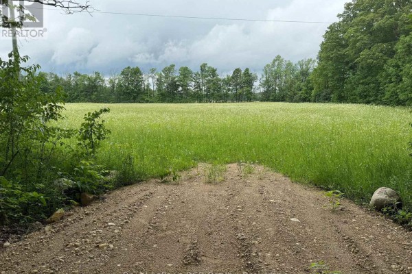 Lot 2 Part Lot 17 Bells Lake Road, West Grey, ON N0C1H0 Photo 2