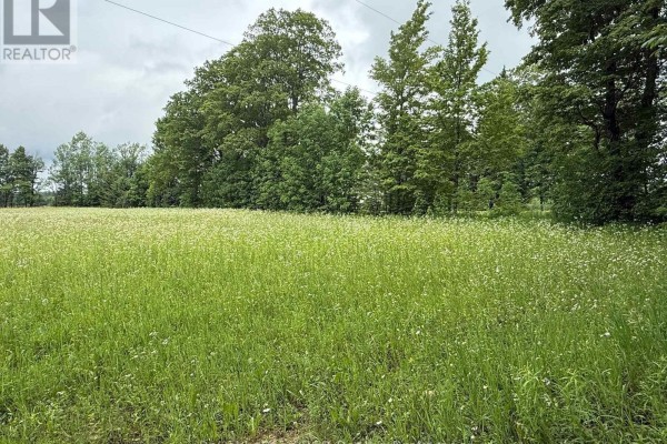 Lot 2 Part Lot 17 Bells Lake Road, West Grey, ON N0C1H0 Photo 3