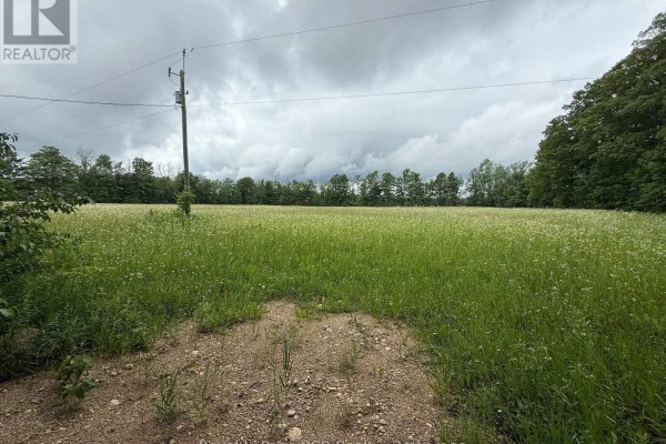 Lot 2 Part Lot 17 Bells Lake Road, West Grey, ON N0C1H0 Photo 4