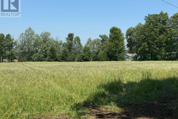Lot 2 Part Lot 17 Bells Lake Road, West Grey, ON N0C1H0 Photo 5