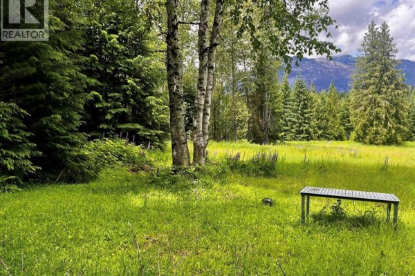 Lot 2 Red Mountain Road, Silverton, BC V0G1S0 Photo 4