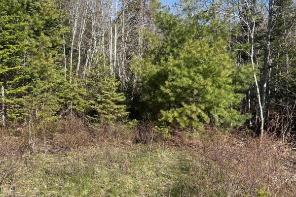 Lot 2 Ridge Road, Falkland Ridge, NS B0R1H0 Photo 2