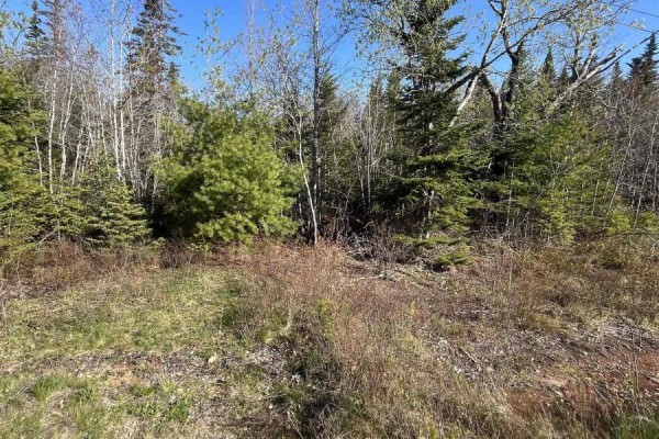Lot 2 Ridge Road, Falkland Ridge, NS B0R1H0 Photo 3