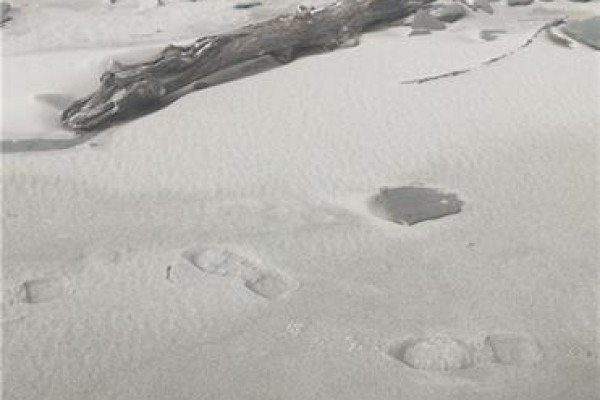 Lot 2 Robichaud, Pointe Sapin, NB E9A1S9 Photo 4