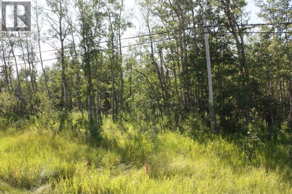 Lot 2 Rose Prairie Road, Fort St  John, BC, photo 3
