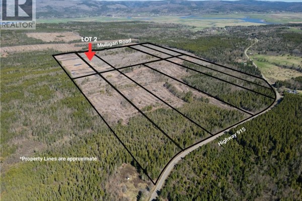 Lot 2 Route 915, Upper New Horton, NB E4H3T4 Photo 5