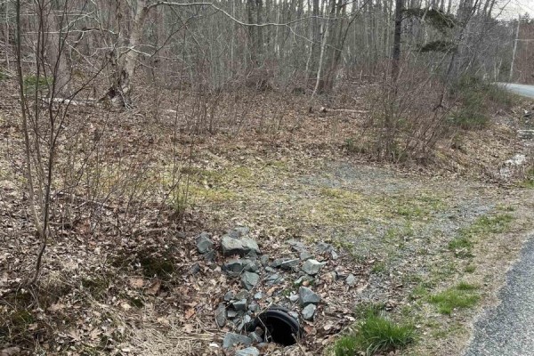 Lot 2 Sarty Road, Camperdown, NS B4V0X6 Photo 2