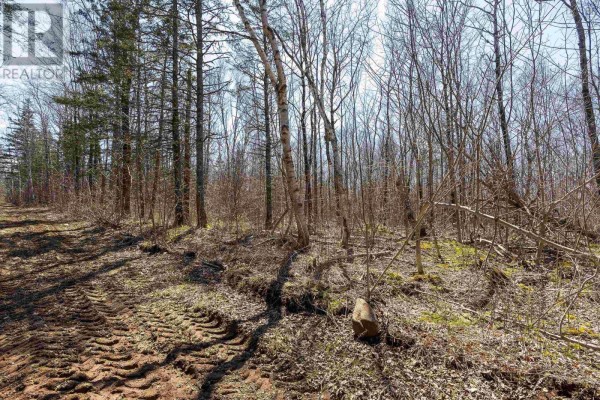 Lot 2 Seaman Street, East Margaretsville, NS, photo 2