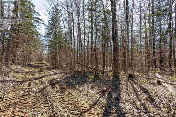 Lot 2 Seaman Street, East Margaretsville, NS B0S1N0 Photo 4