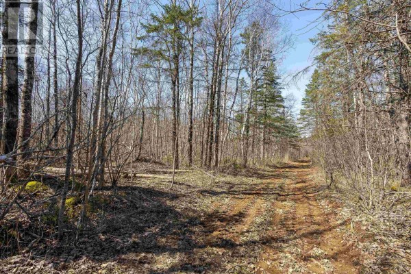 Lot 2 Seaman Street, East Margaretsville, NS B0S1N0 Photo 5