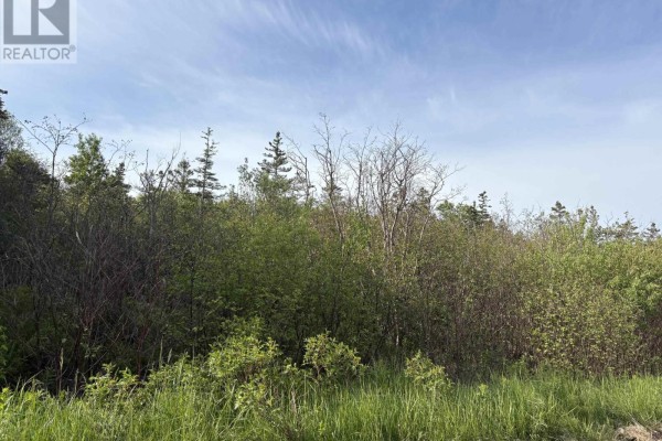 Lot 2 Shore Road, Ogilvie, NS B0P1E0 Photo 3