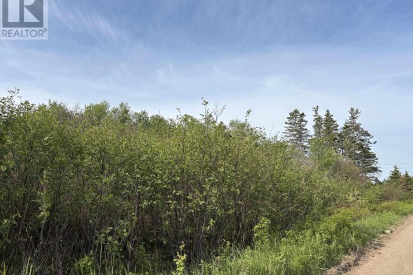 Lot 2 Shore Road, Ogilvie, NS B0P1E0 Photo 4