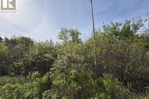 Lot 2 Shore Road, Ogilvie, NS B0P1E0 Photo 5