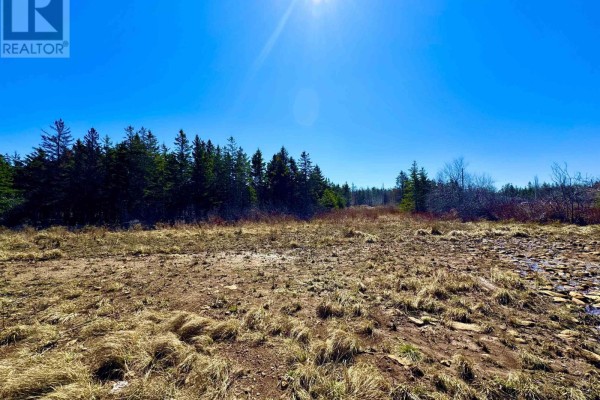 Lot 2 Shore Road, Youngs Cove, NS B0S1C0 Photo 3