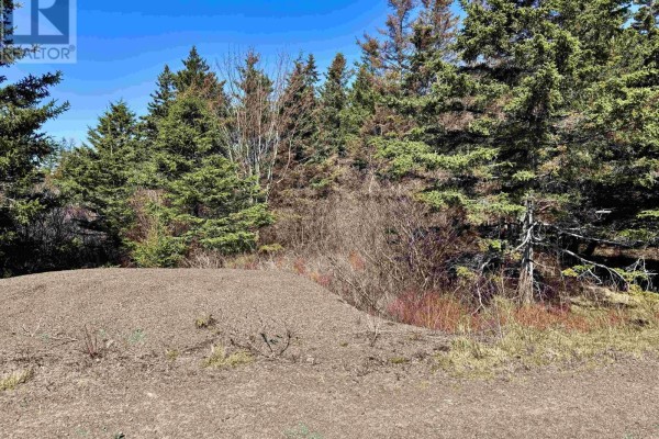 Lot 2 Shore Road, Youngs Cove, NS B0S1C0 Photo 4