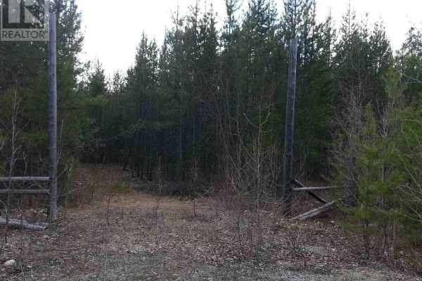 Lot 2 Small River Fsr Road, Valemount, BC, photo 2