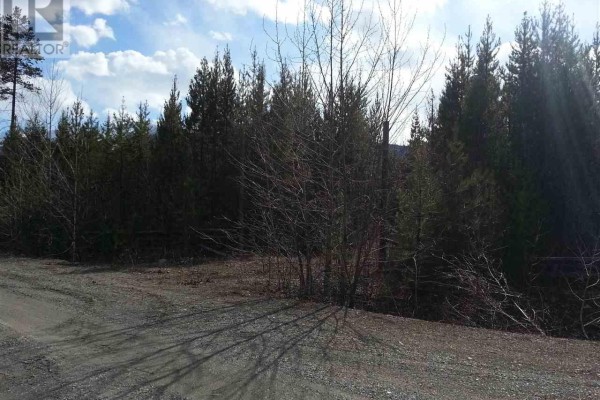 Lot 2 Small River Fsr Road, Valemount, BC, photo 3