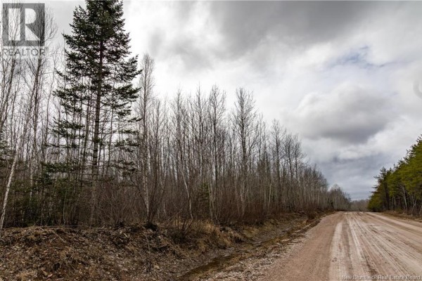 Lot 2 South Canaan Road, South Canaan, NB E4Z3R7 Photo 4