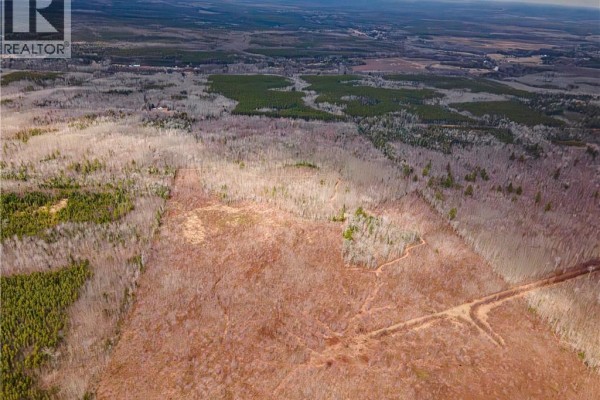 Lot 2 South Canaan Road, South Canaan, NB E4Z3R7 Photo 5