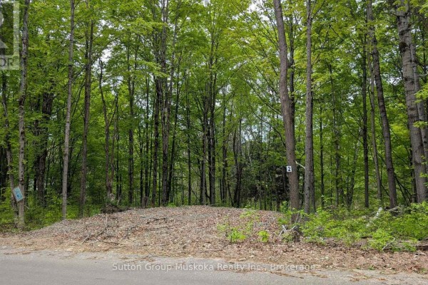 Lot 2 Tally-ho Winter Park Road, Lake Of Bays, ON, photo 2