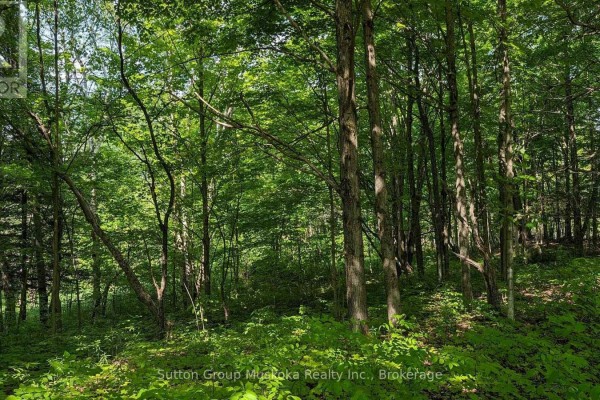 Lot 2 Tally-ho Winter Park Road, Lake Of Bays, ON, photo 3