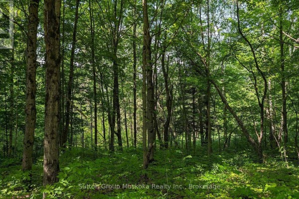 Lot 2 Tally-ho Winter Park Road, Lake Of Bays, ON P1H2E5 Photo 4