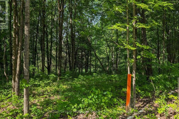 Lot 2 Tally-ho Winter Park Road, Lake Of Bays, ON P1H2E5 Photo 5