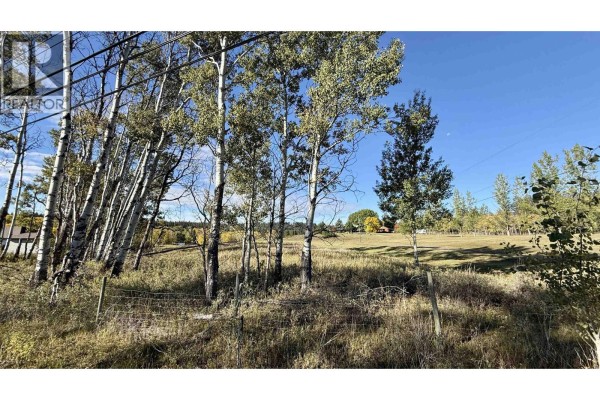 View of tall trees and a wire fence in a grassy field with distant buildings and trees under a clear blue sky. - Lot 2 Telqua Drive, 100 Mile House