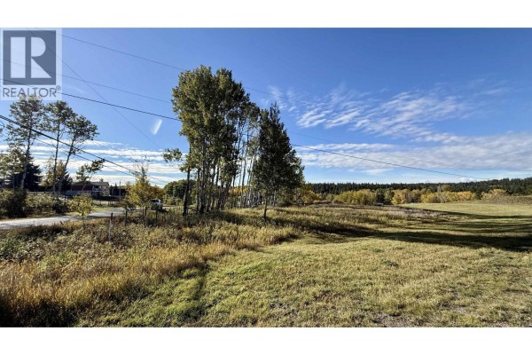 Panoramic view of a grassy field with trees, power lines, and distant houses under a blue sky with wispy clouds. - Lot 2 Telqua Drive, 100 Mile House