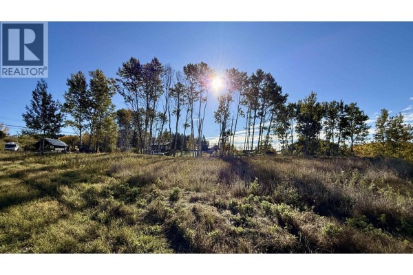 Sunlight shines through tall trees at the edge of a grassy field with some small structures visible in the distance. - Lot 2 Telqua Drive, 100 Mile House