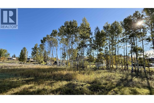 View of a grassy field with numerous tall trees along the right side and houses visible in the background. - Lot 2 Telqua Drive, 100 Mile House