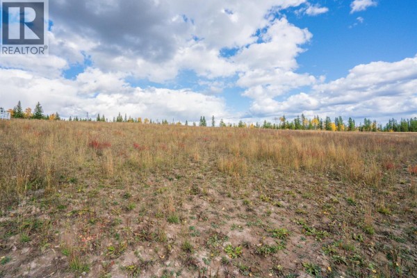 Lot 2 W 16 Highway, Prince George, BC V2N6K8 Photo 4