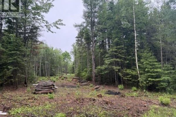 Lot 2 W P Black Lane, New Canaan, NB E4Z5X5 Photo 2