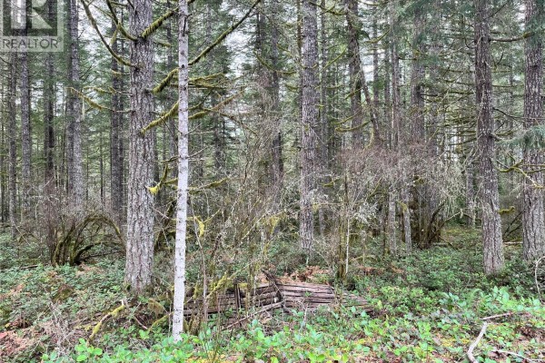 View of a dense forest with moss-covered trees and undergrowth. - Lot 2 Walker Rd, Duncan