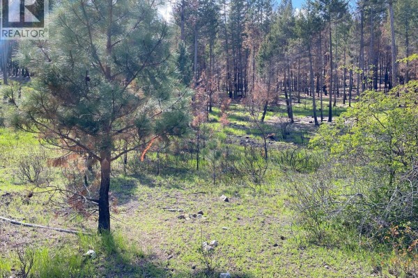 A grassy clearing with a young pine tree, surrounded by a forest with many burnt trees. - Lot 2 Westside Road, Vernon