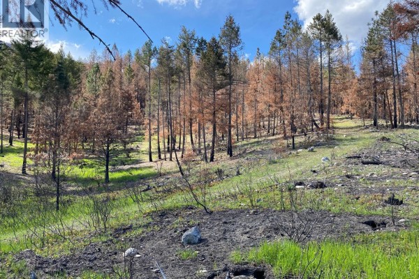 View through a forest of trees towards a large blue lake and distant hills under a cloudy sky. - Lot 2 Westside Road, Vernon