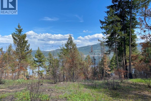 A dirt path goes through a forest of trees, some green and some burnt, with grassy slopes. - Lot 2 Westside Road, Vernon