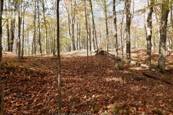 Lot 2 Woodland Park Drive, Frontenac, ON K0H1B0 Photo 5