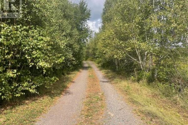Lot 20-2 Highway 4, Wentworth Centre, NS B0M1Z0 Photo 4