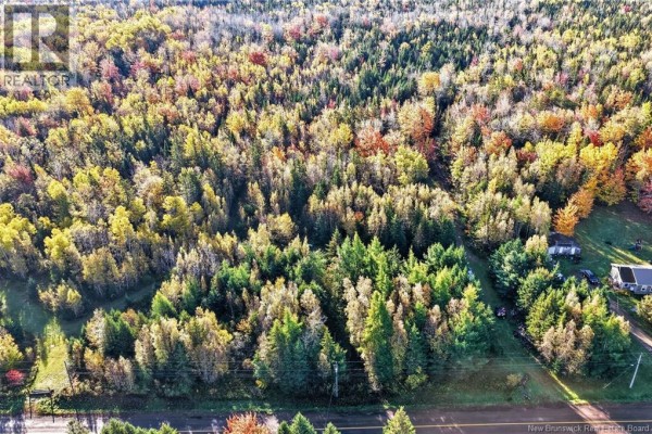 Lot 20-3 Shediac River Rd, Saint Philippe, NB E1H1R9 Photo 3