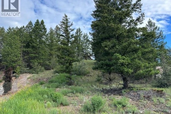 Lot 20 Berland Bend Lot# 20, Windermere, BC V0B2L0 Photo 5