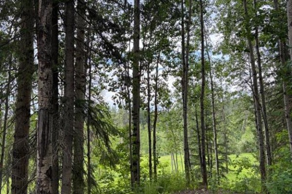 Lot 20 Block 1, Rural Grande Prairie No  1, County Of, AB T8W5K2 Photo 2