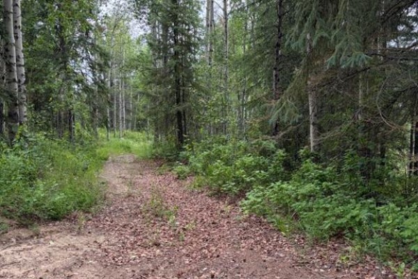 Lot 20 Block 1, Rural Grande Prairie No  1, County Of, AB T8W5K2 Photo 3