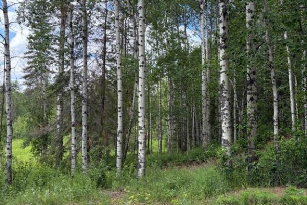 Lot 20 Block 1, Rural Grande Prairie No  1, County Of, AB T8W5K2 Photo 5