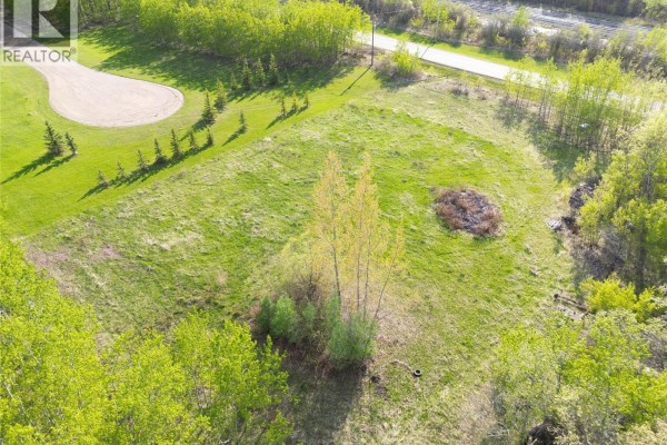 Drone shot of a vacant, grass-covered lot with young trees and a paved road. - Lot 20 Block 16, St  Brieux