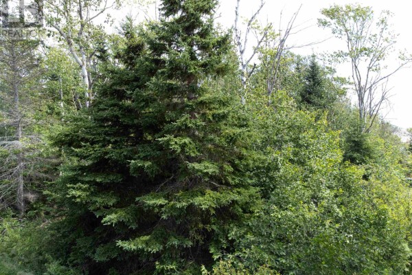 Lot 20 Blue Jay Drive, St  Nicholas, PE, photo 3