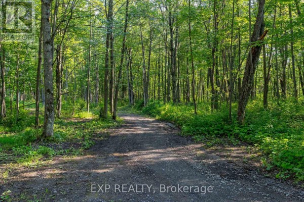 Lot 20 Concession 4 Road, Alfred And Plantagenet, ON K0B1L0 Photo 2