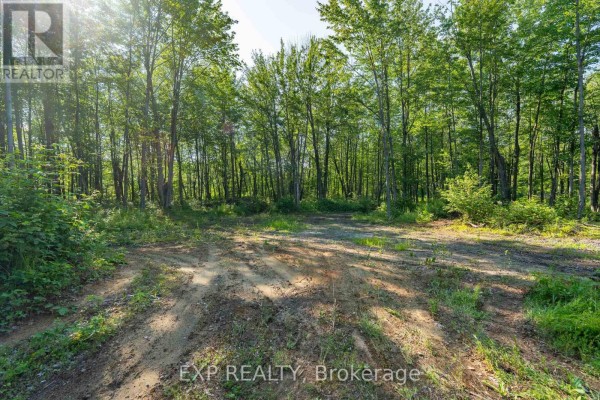 Lot 20 Concession 4 Road, Alfred And Plantagenet, ON K0B1L0 Photo 3